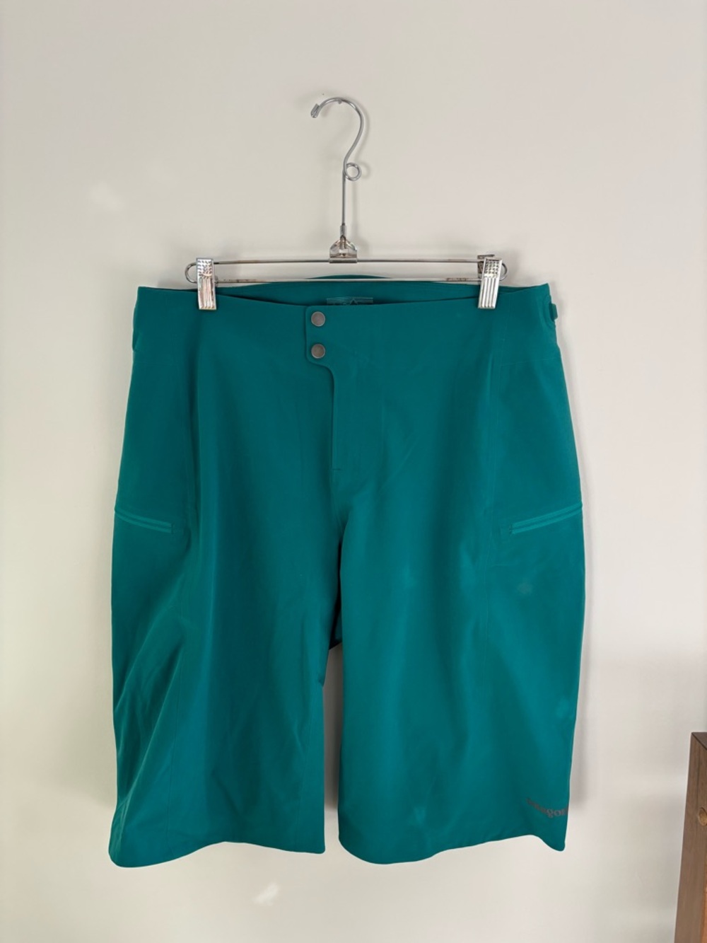 Patagonia Men’s Short
